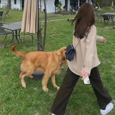 男神与女神的罗曼史