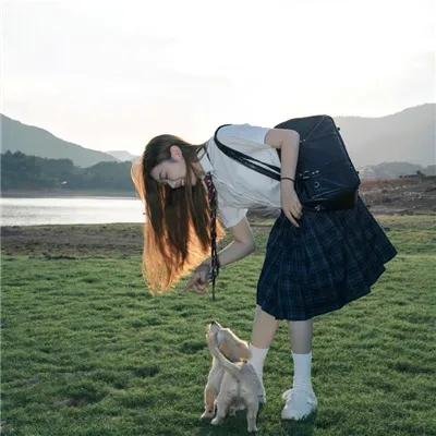机器猛犬